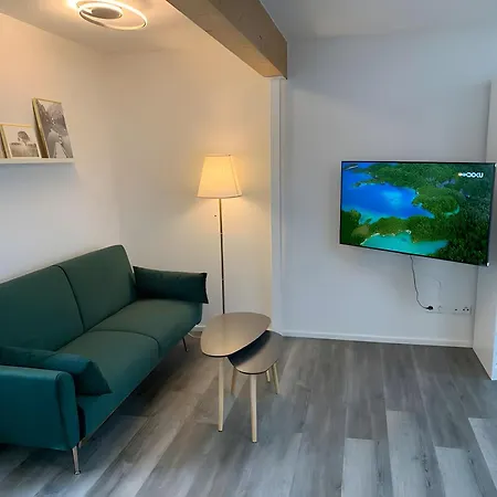 Haus Ambiente- 2 Und 3 Apartment Bad Sackingen