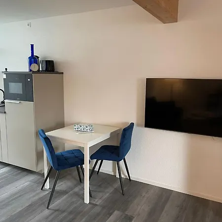 Apartment Haus Ambiente- 2 Und 3 Bad Sackingen